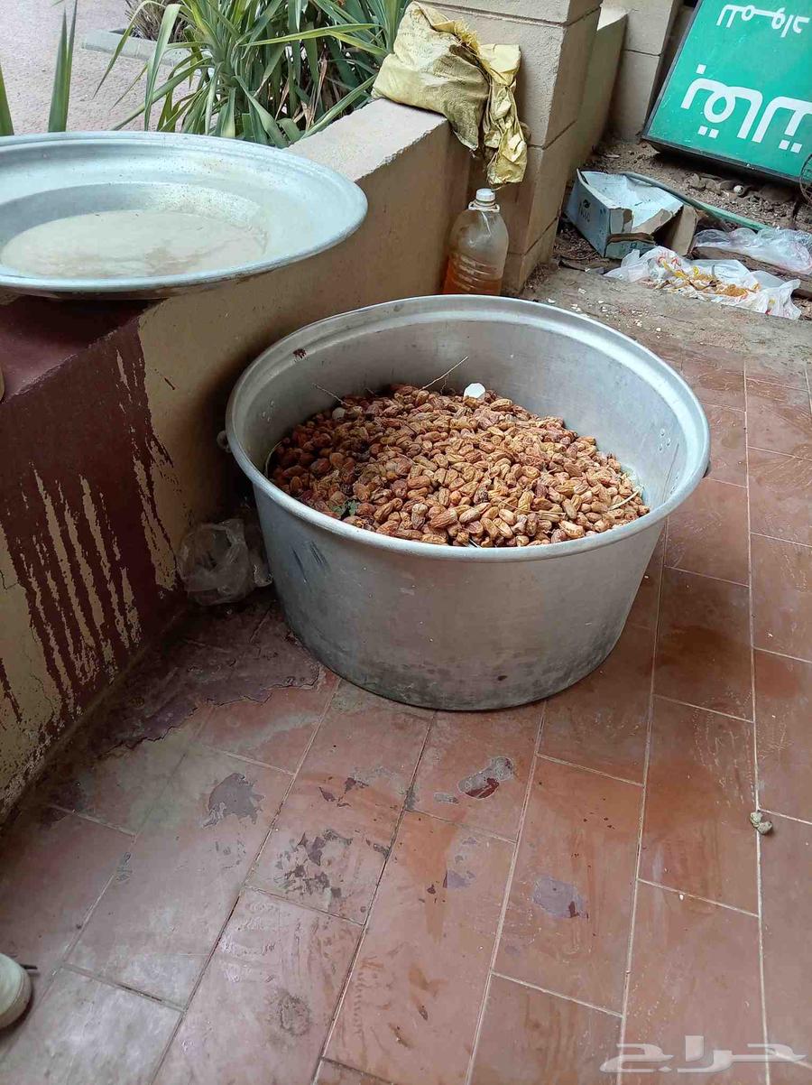 New date feed64498284968194110