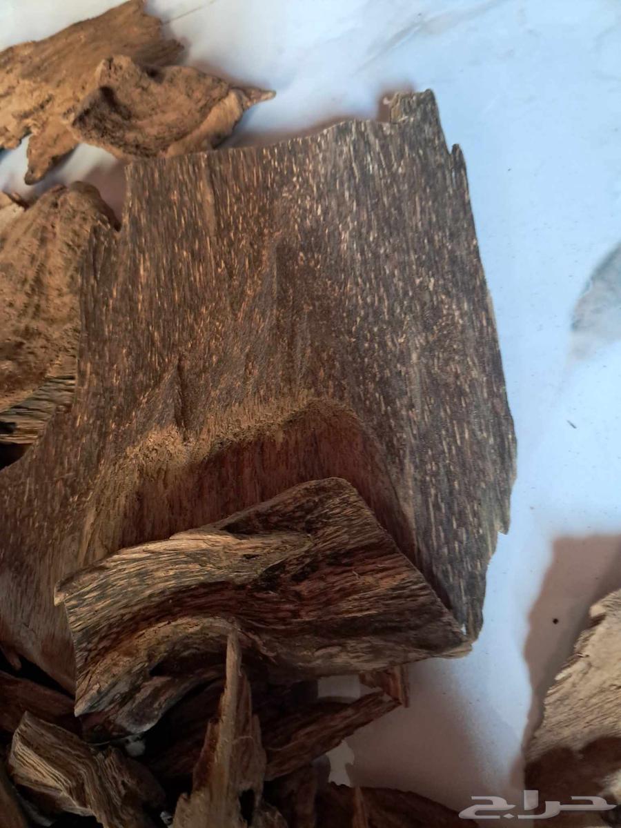 عود بخور كلمنتان مالينو سوبر مرتفع ودبل سوبر بسعر مغري64498117765635113