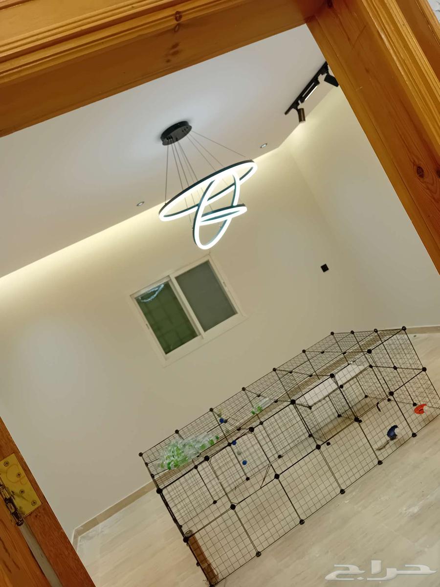 صالح عبدالربه للدهانات والديكورات الداخليه والخارجيه64403916398722112