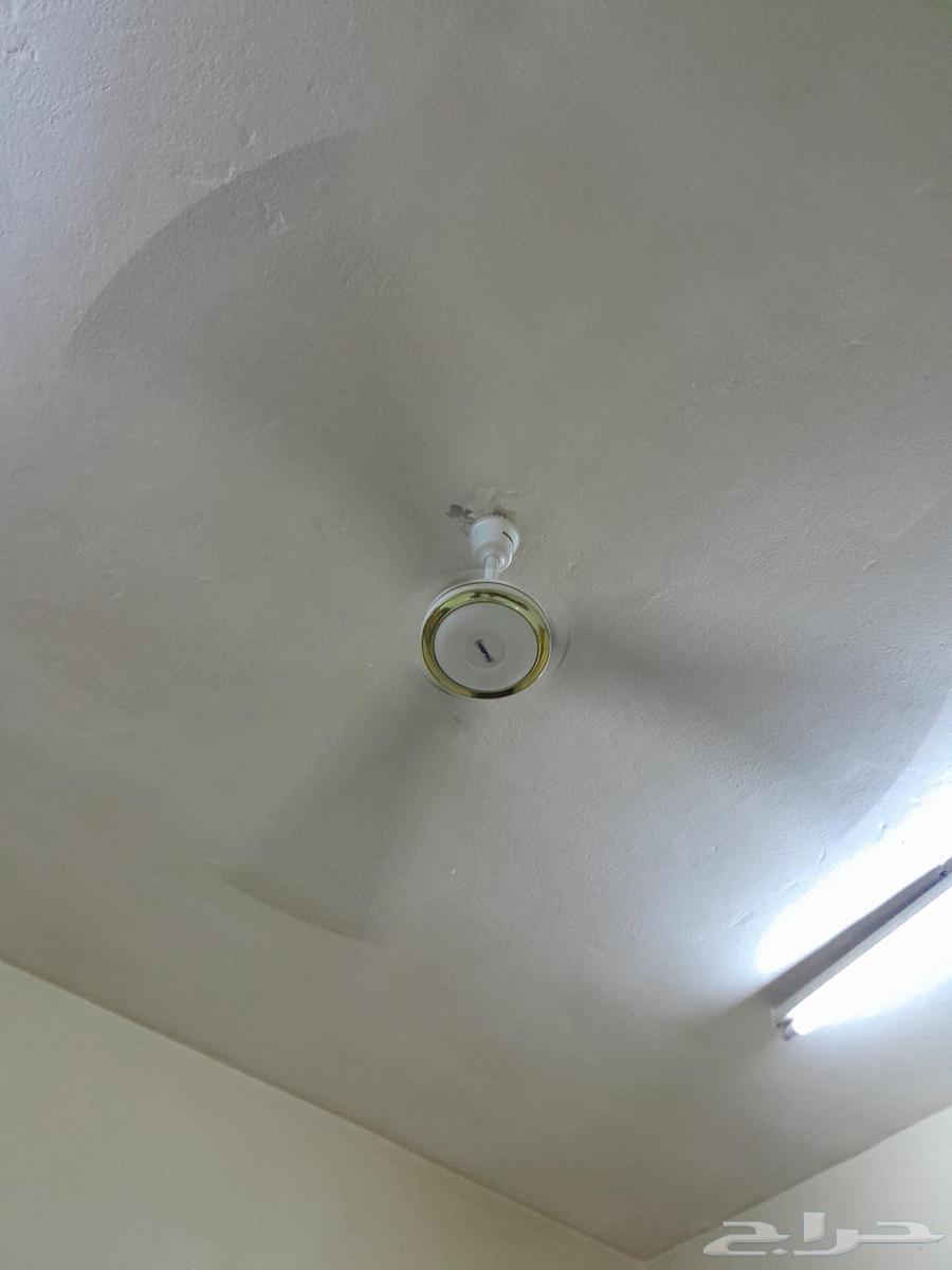 2 مروحه بحاله جيده مع طربيزه وتوابع64497468306177113