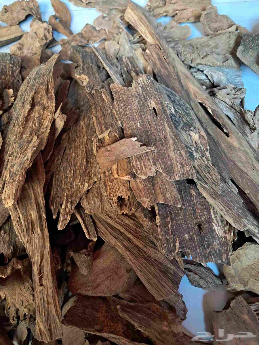 عود بخور كلمنتان مالينو سوبر مرتفع ودبل سوبر بسعر مغري64498117765635114