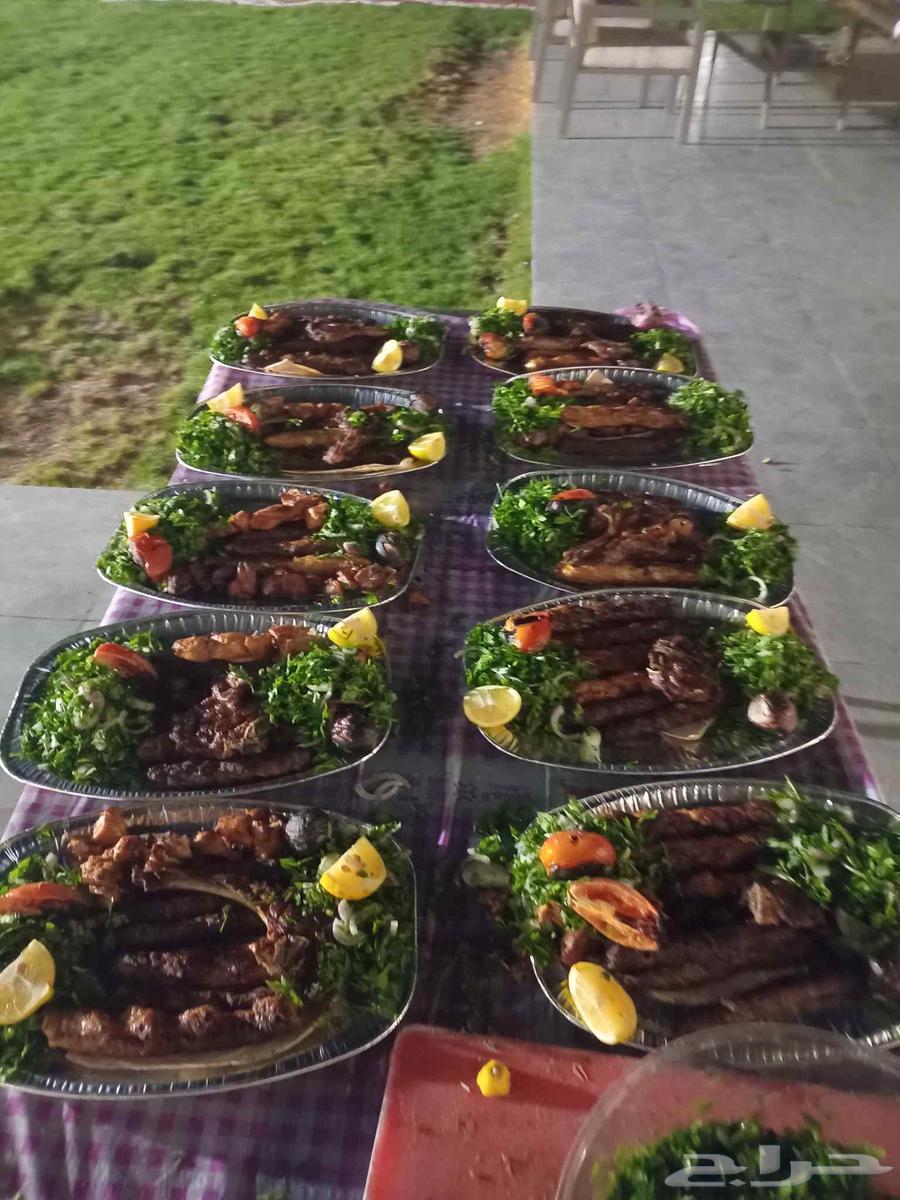 مطلوب ممول مشروع مطعم مشويات سوريا و عراقيه الخبره موجوده64468231337090110