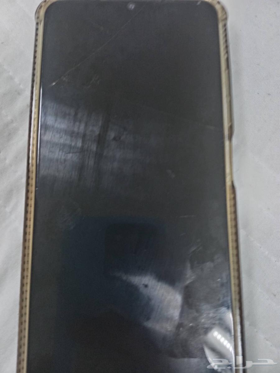 في الدمام 700 ريال فيه شمخ بسيط64499898141442110