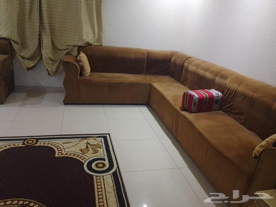 كنب للبيع64494897779714113