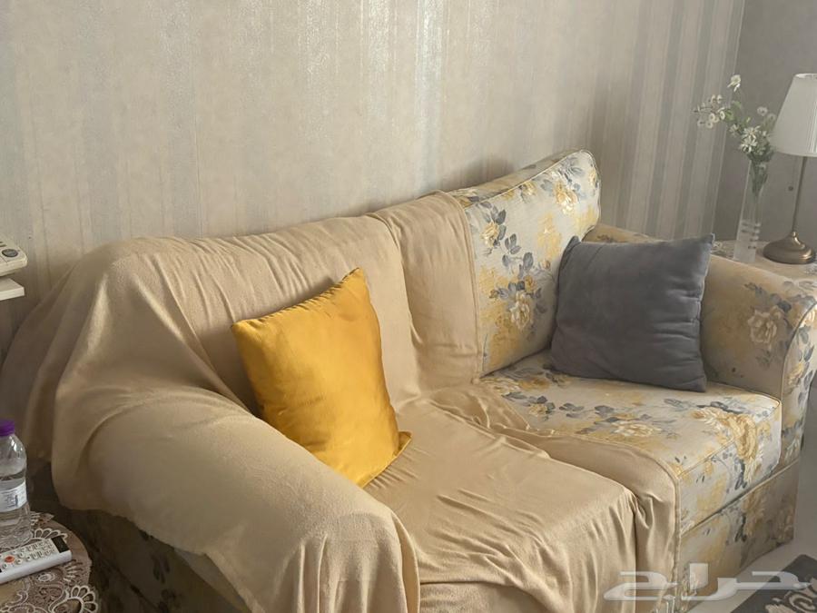 Clean sofa, simple use with accessories64502734688898113