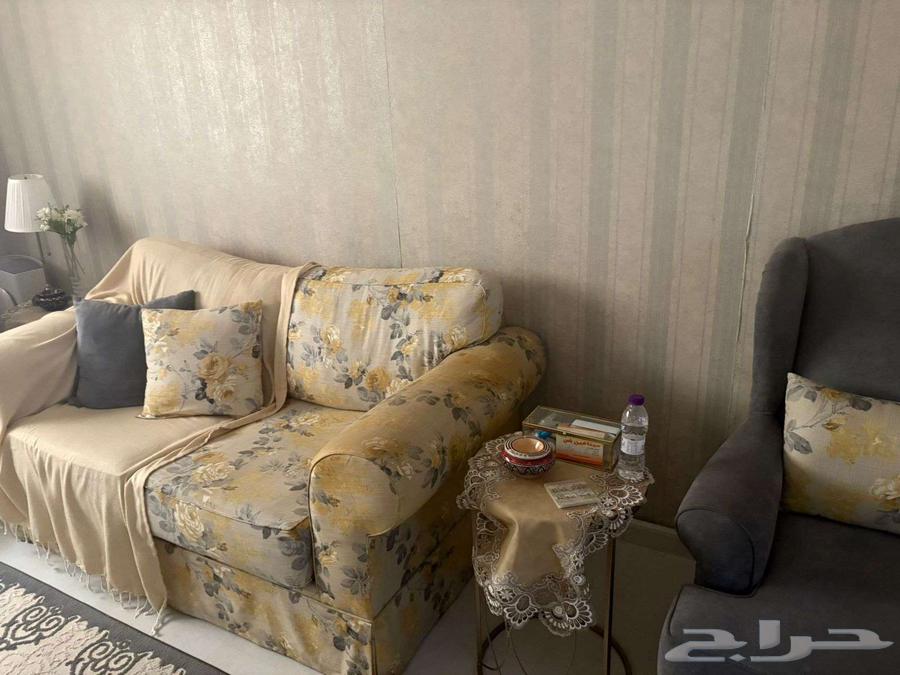 Clean sofa, simple use with accessories64502734688898112