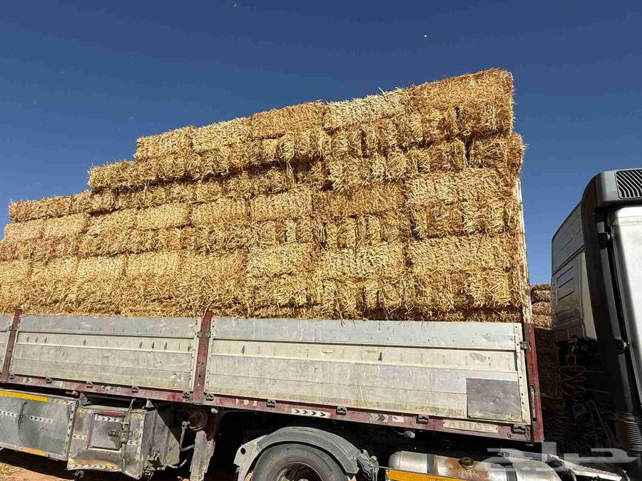 Wheat straw is now available from the company64502639261314111