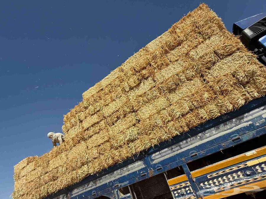 Wheat straw is now available from the company64502639261314110