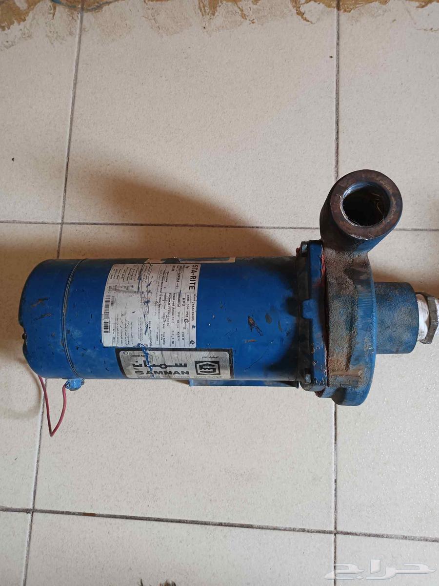 دينامو سمنان امريكي 2 حصان بالمدينة المنورة64502432406657110