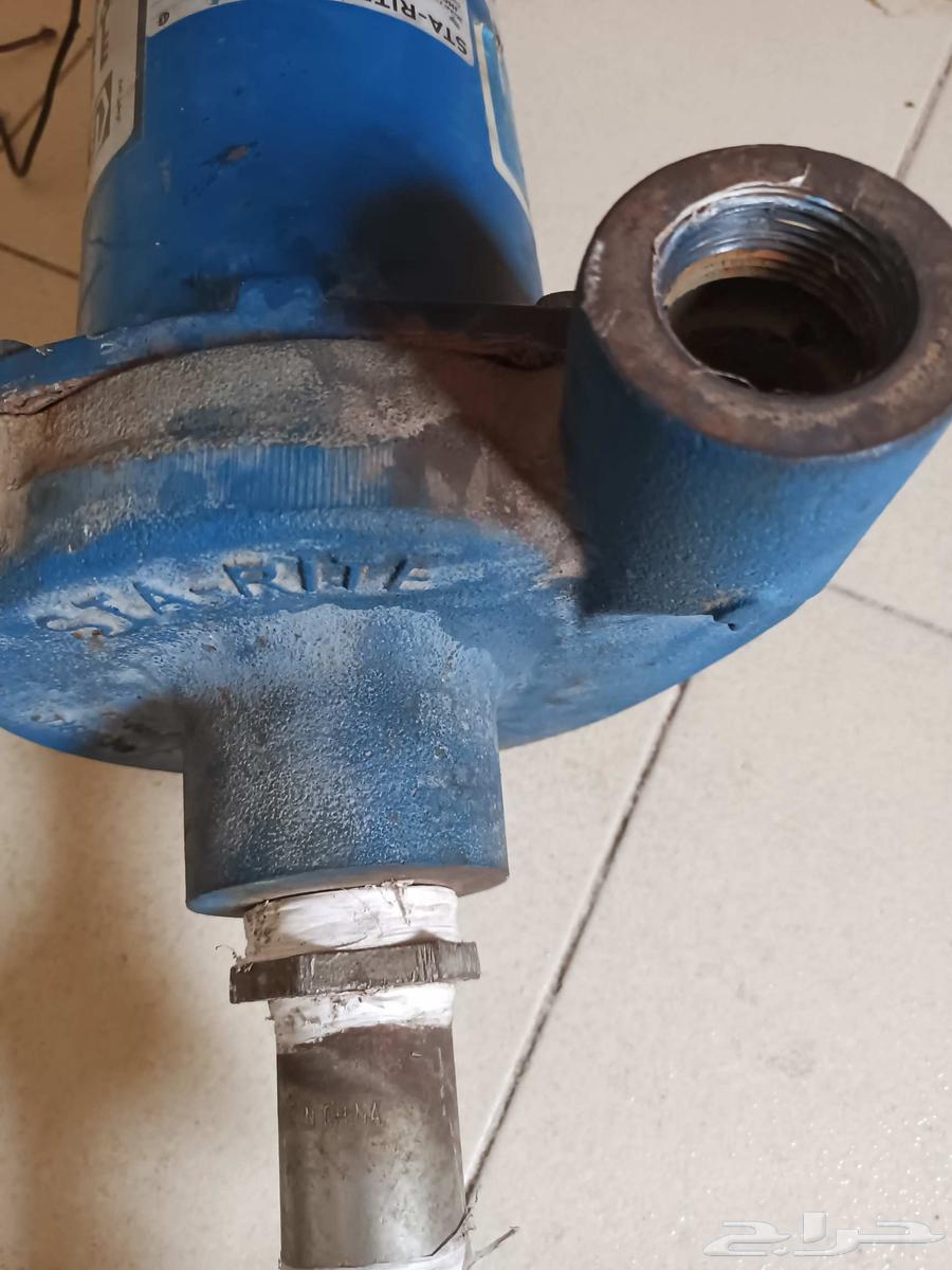 دينامو سمنان امريكي 2 حصان بالمدينة المنورة64502432406657112