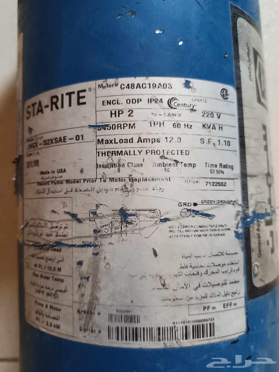 دينامو سمنان امريكي 2 حصان بالمدينة المنورة64502432406657113