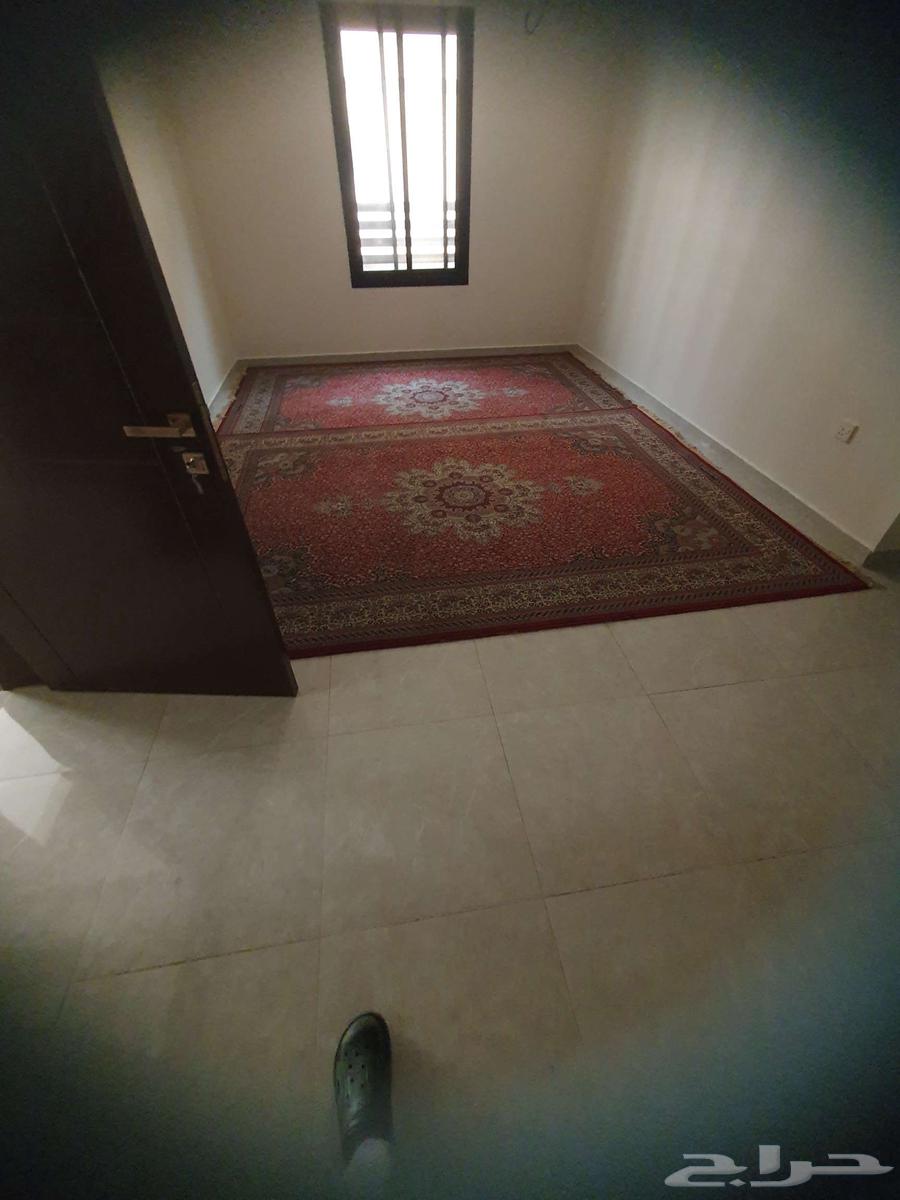 فرش للبيع زل64497495541251110