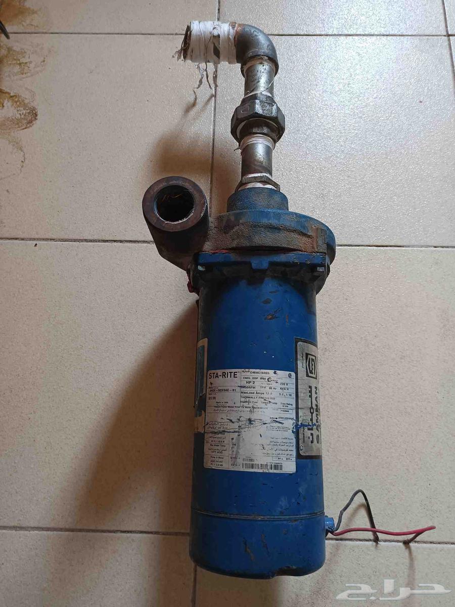 دينامو سمنان امريكي 2 حصان بالمدينة المنورة64502432406657114