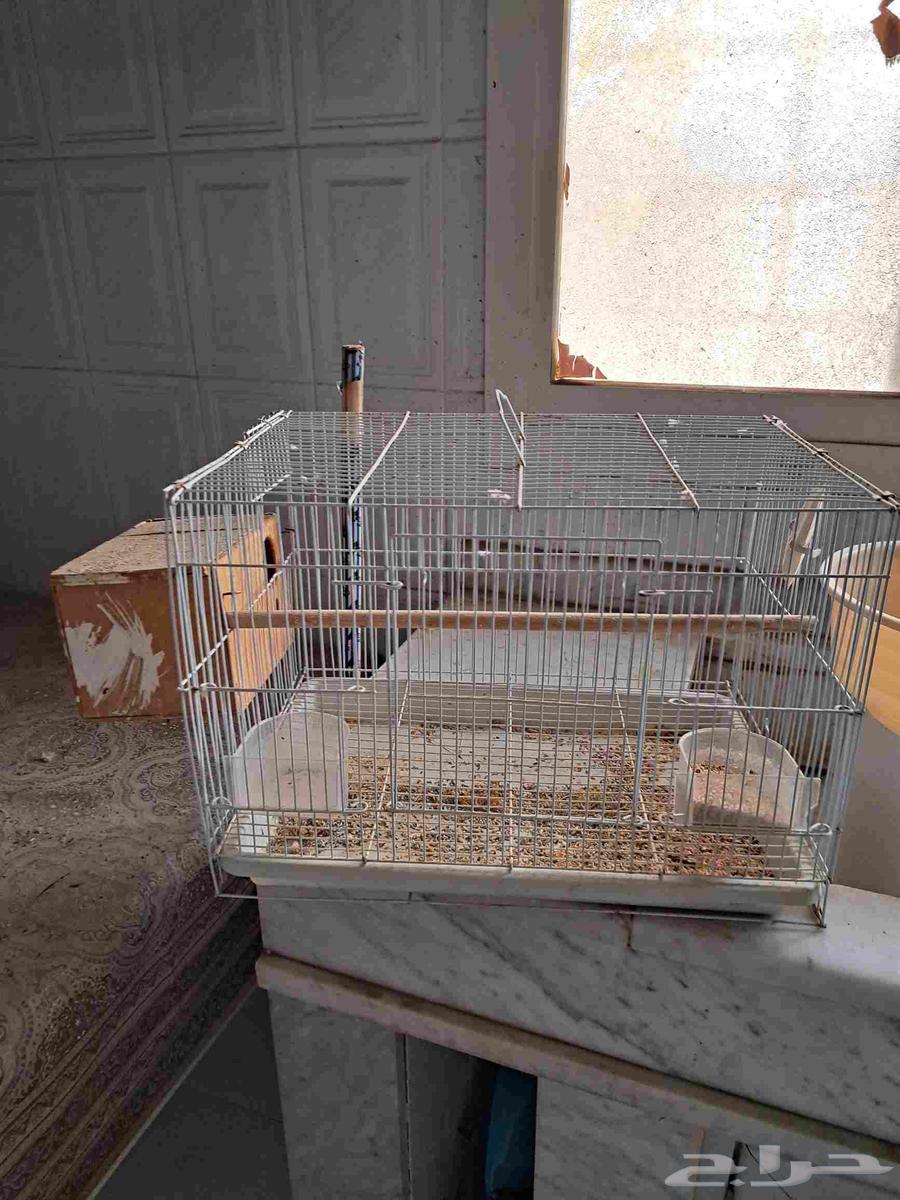 لدينا اقفاص للبيع64499270321282111