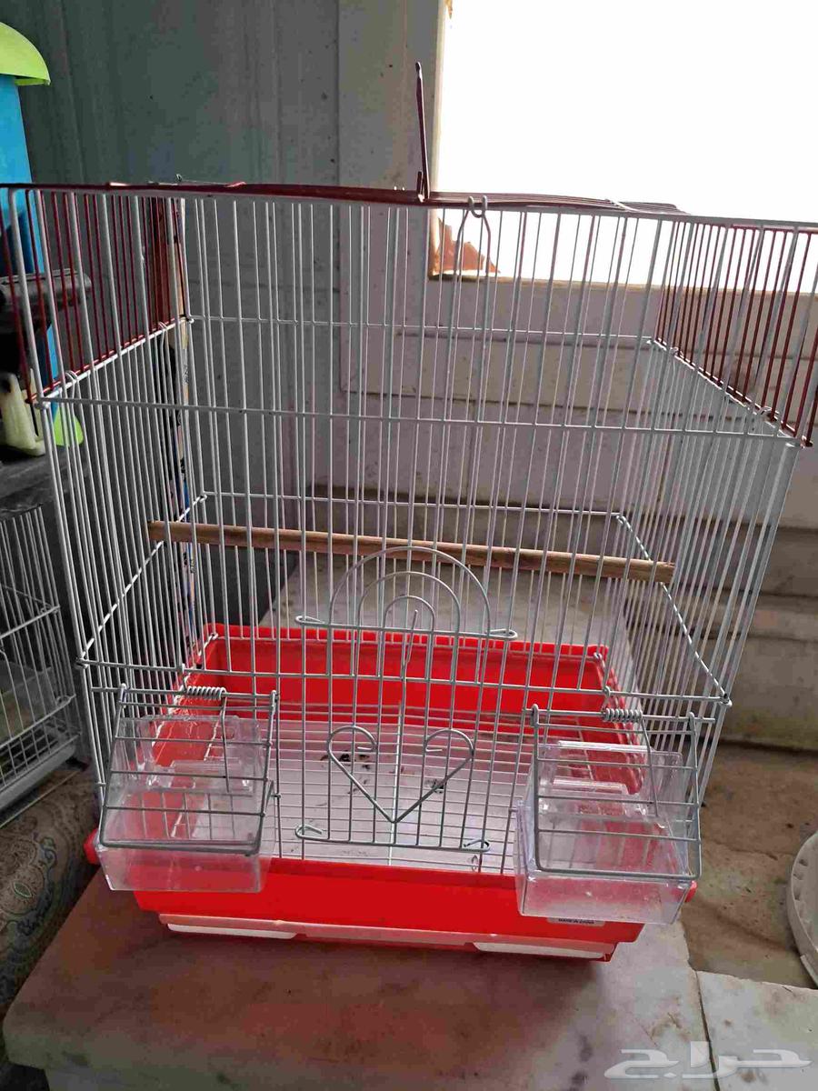 لدينا اقفاص للبيع64499270321282114