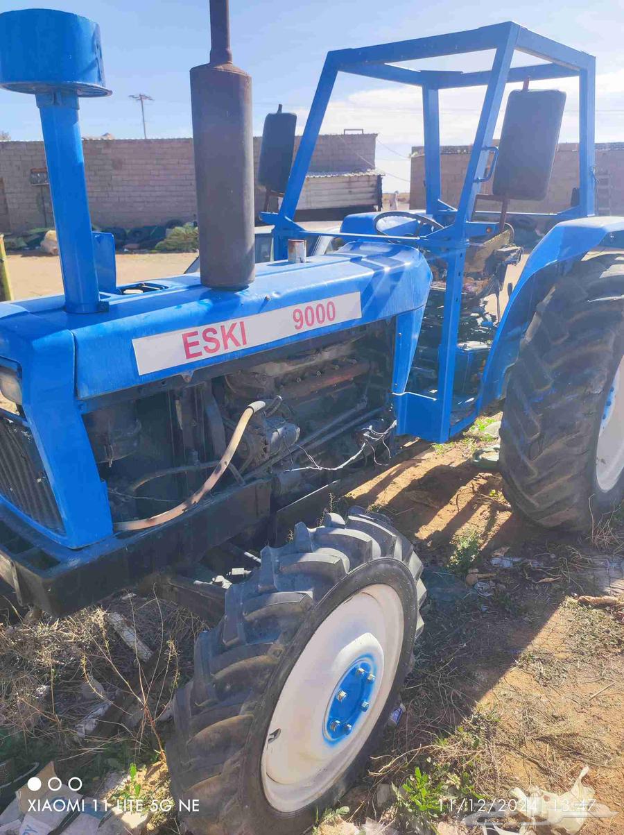 2025 9 1564496778239617112