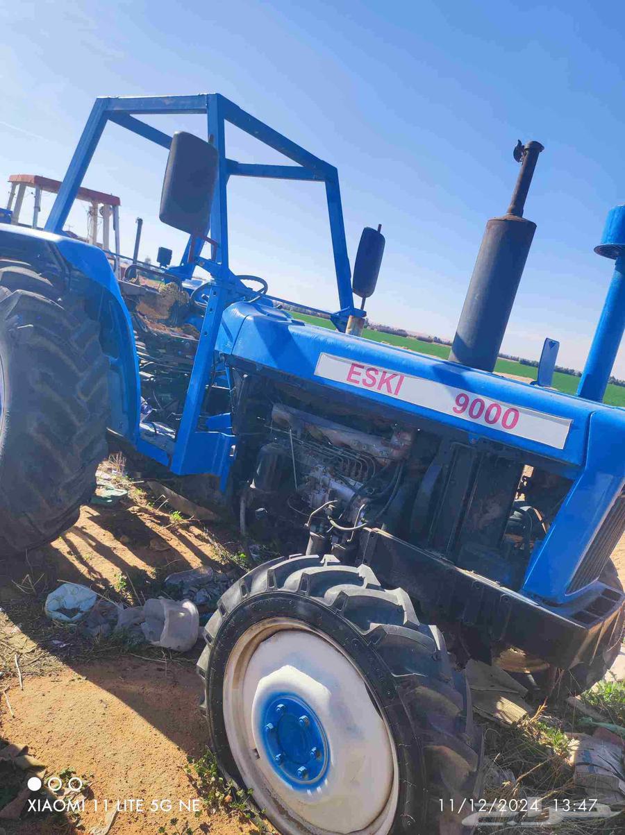 2025 9 1564496778239617111