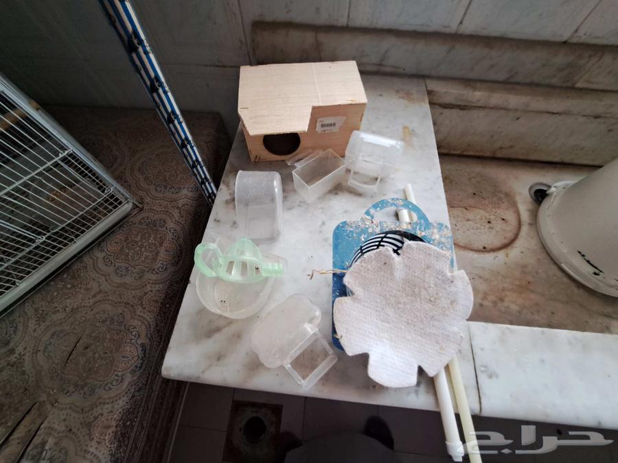 لدينا اقفاص للبيع64499270321282112