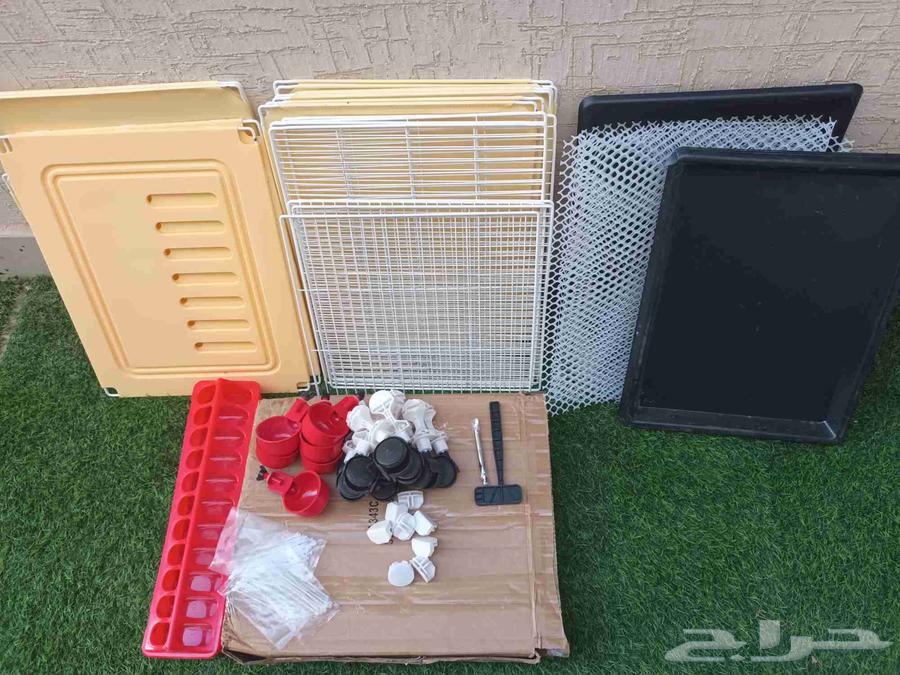 الصدق والامانه64497952008323112