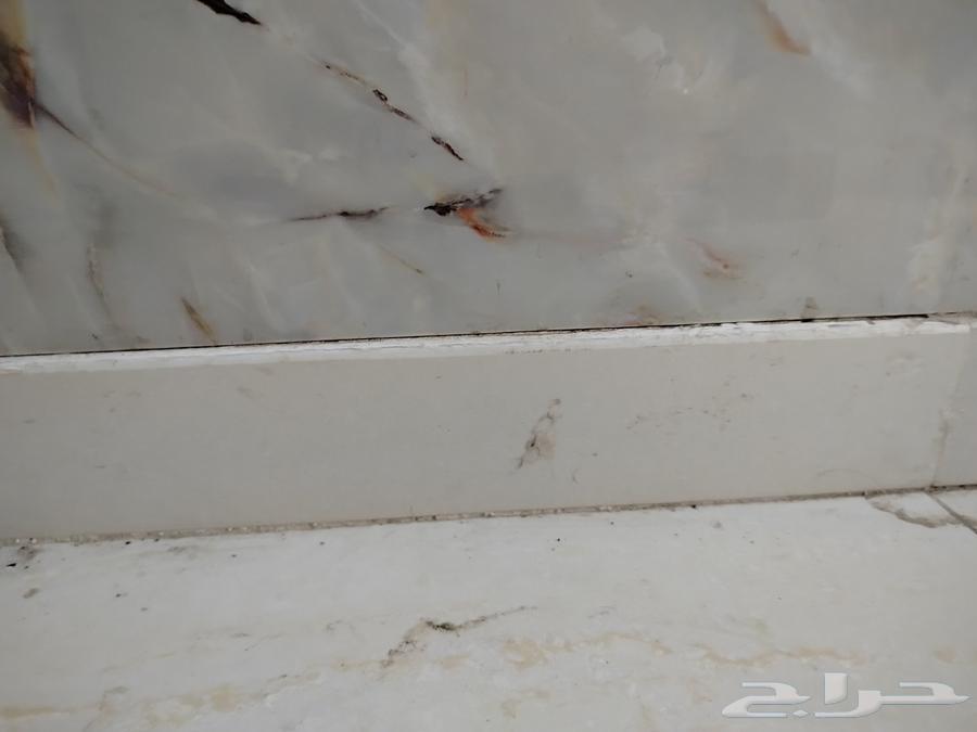 بلاط نعله أو سكلو بريالين والمزخرف ب464463060837251111