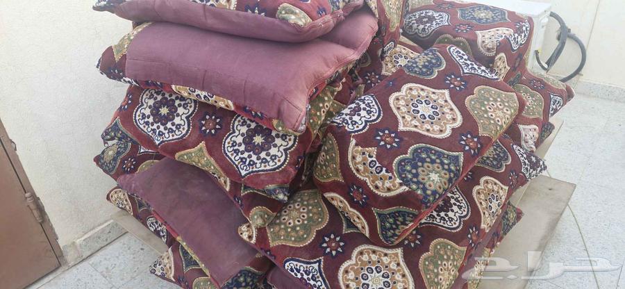 جلسة برية مساند ظهر64500657922562112