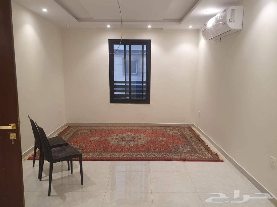 فرش للبيع زل64497495541251112