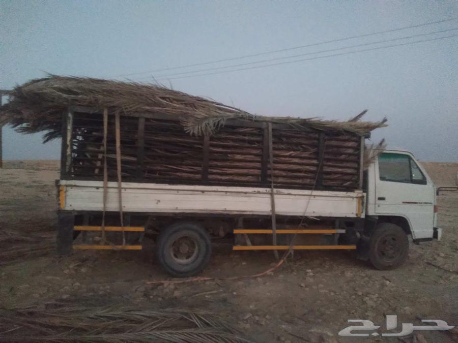 سعف نخل جديد للعرايش والمظلات64496460978051112