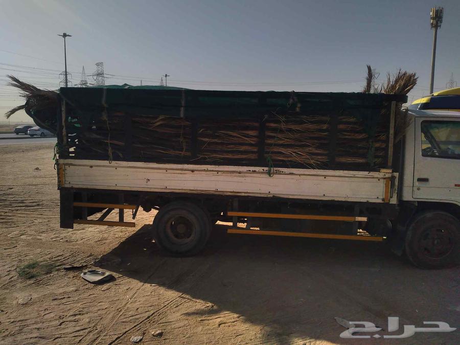 سعف نخل جديد للعرايش والمظلات64496460978051114