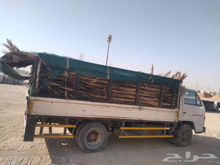 سعف نخل جديد للعرايش والمظلات64496460978051113