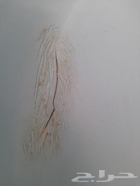 لحام خزانات الفيبر جلاس تلحيم واصلاح خزانات بالضمان64265524438786112