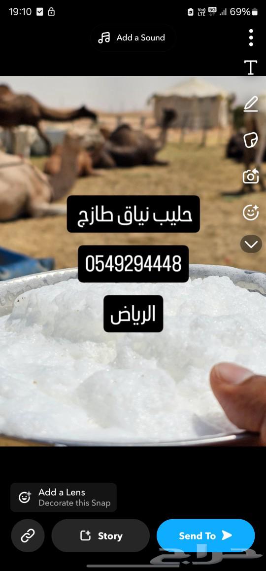 حليب نياق بجودة عالية وممتازه64498756972547110