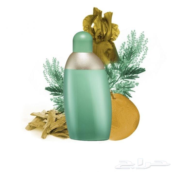 عطر ايدن الاخضر القديم64502167889921112