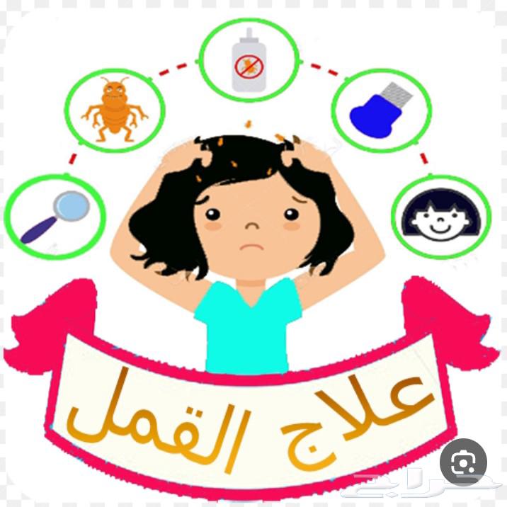 زيت صنع طبيعي باعشاب للقمل اصلي الجوده64497648351362110