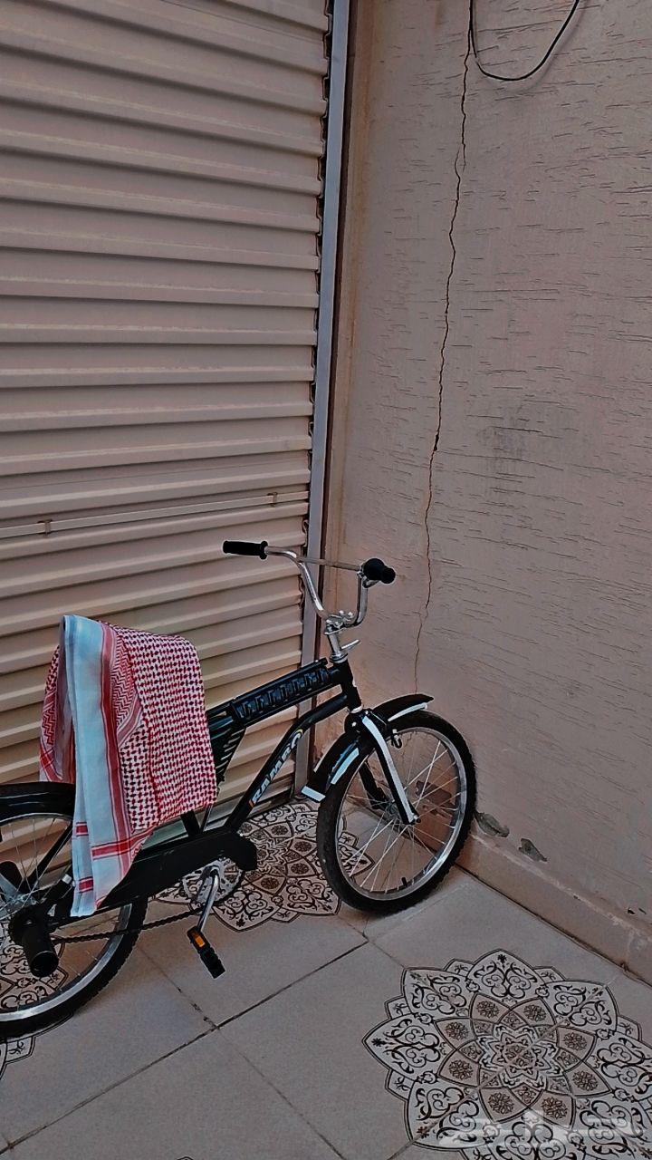 رامبو اسود للبيع64454536691074114