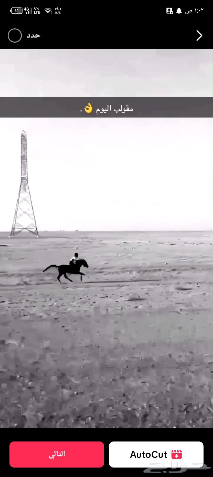 مهر شعبي عمره سنتين ومعروف الاسم دهام والتواصل واتساب 05039564502167966723110