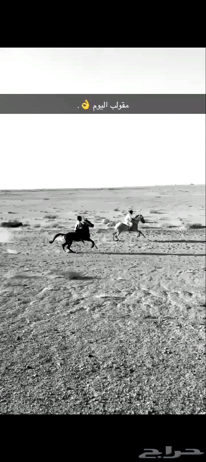 مهر شعبي عمره سنتين ومعروف الاسم دهام والتواصل واتساب 05039564502167966723111