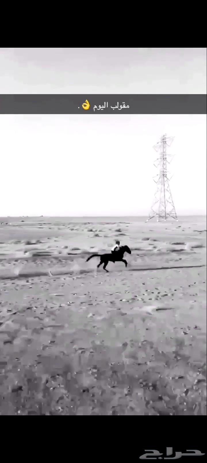 مهر شعبي عمره سنتين ومعروف الاسم دهام والتواصل واتساب 05039564502167966723112