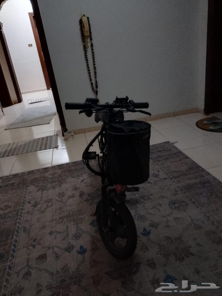 Scooter64499174005379110