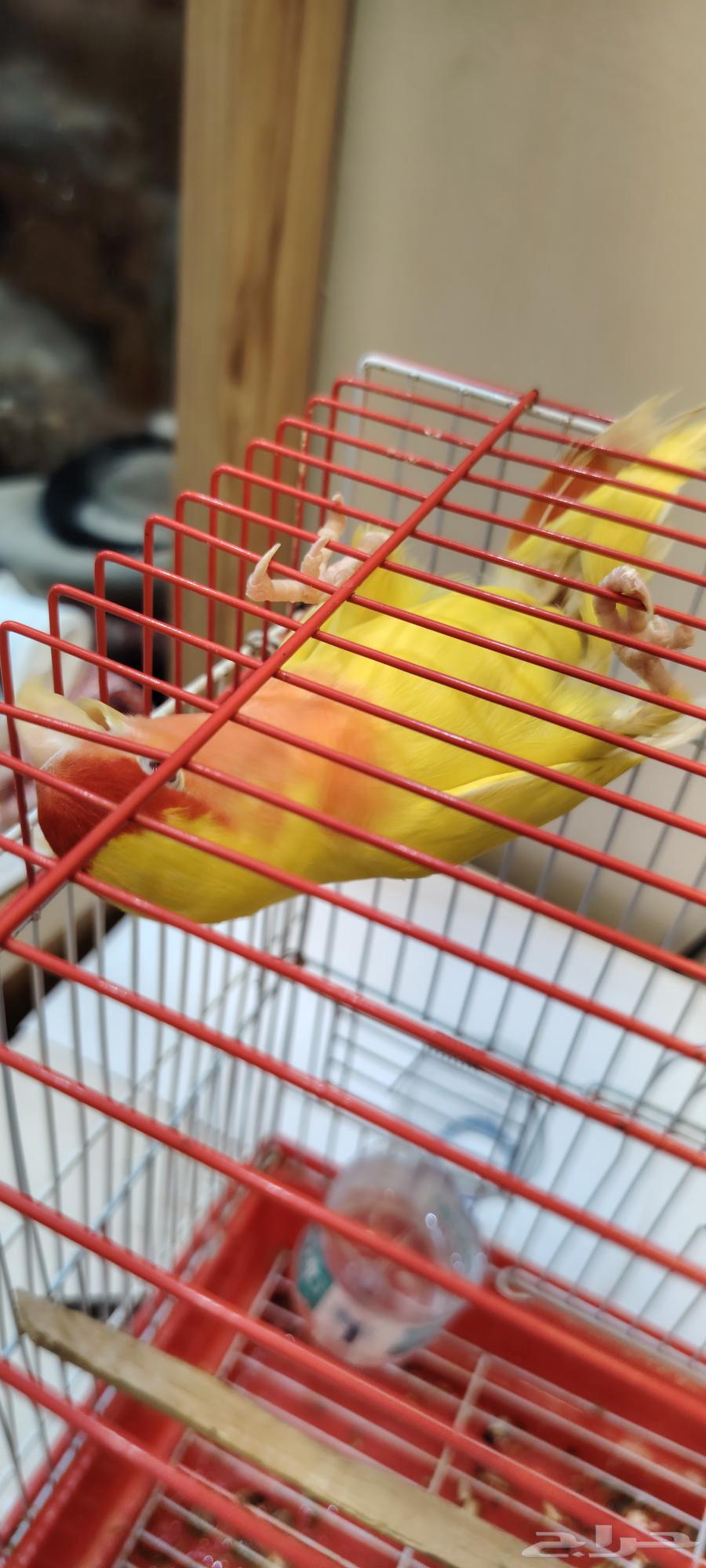 Day64497883113346112