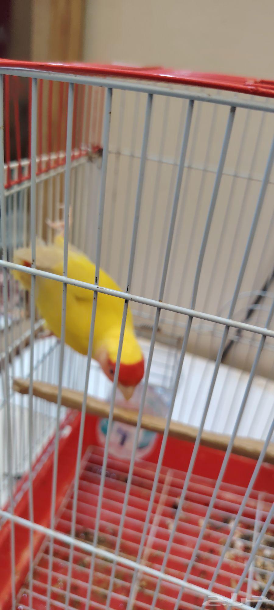 Day64497883113346111