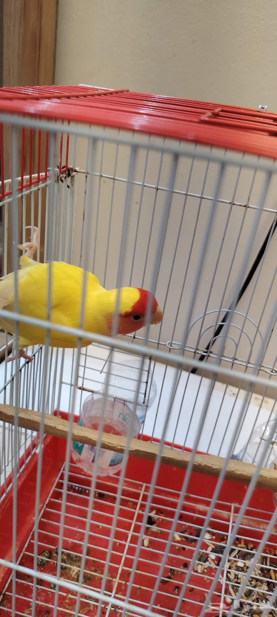 Day64497883113346113