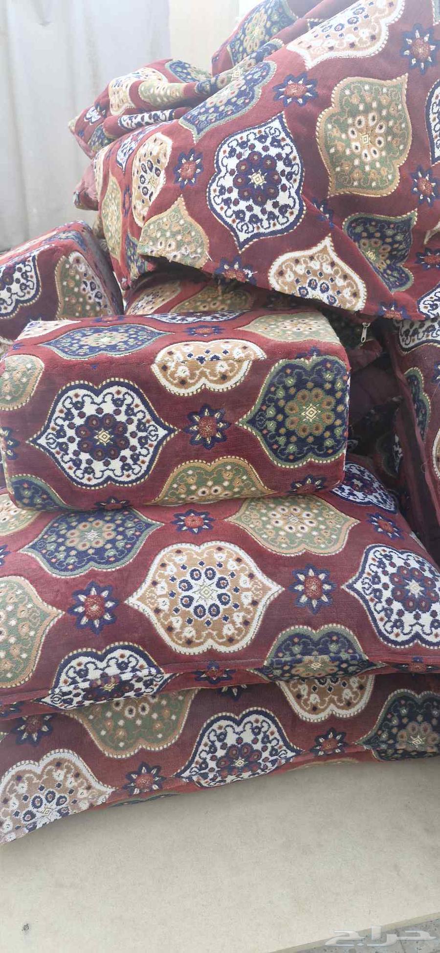 جلسة برية مساند ظهر64500657922562110