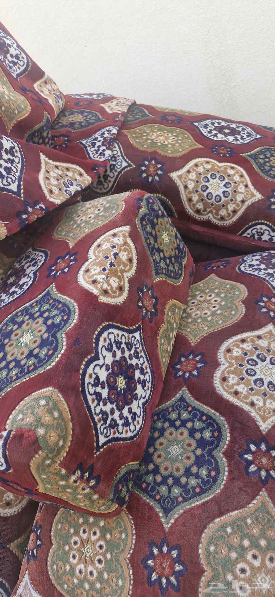 جلسة برية مساند ظهر64500657922562111