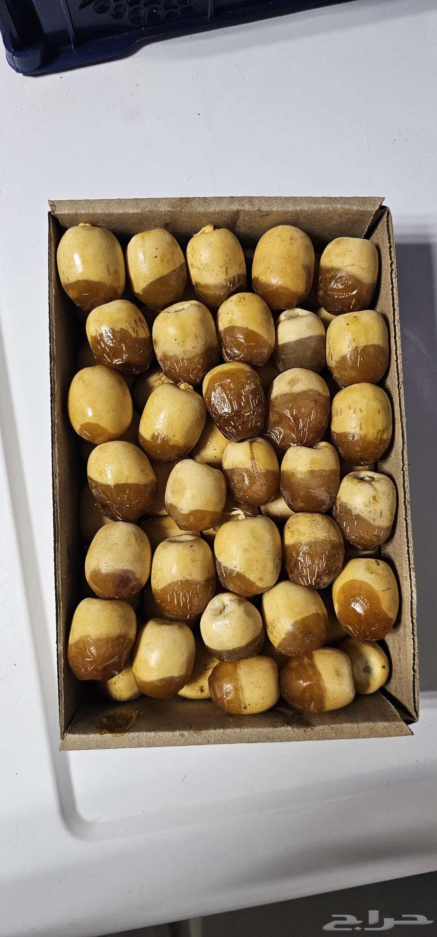 رطب هلالي الأحساء جملة64497344902914110