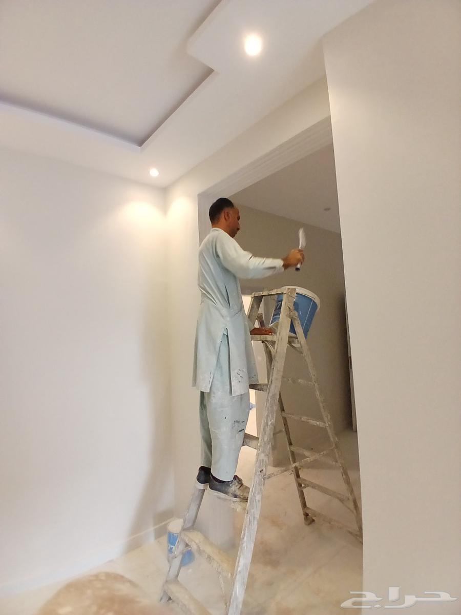 دهانات بويا داخليه خارجي شغل ممتاز سعر مناسب معقول اي شي ابغ64381191406721113