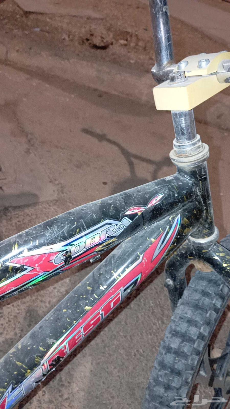 سكل كوبرا 2064508607323393112