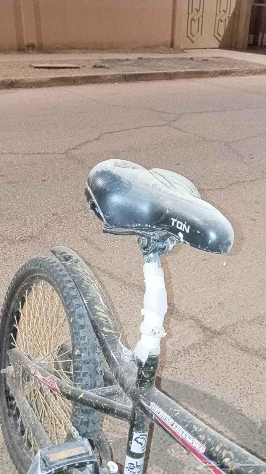 سكل كوبرا 2064508607323393111