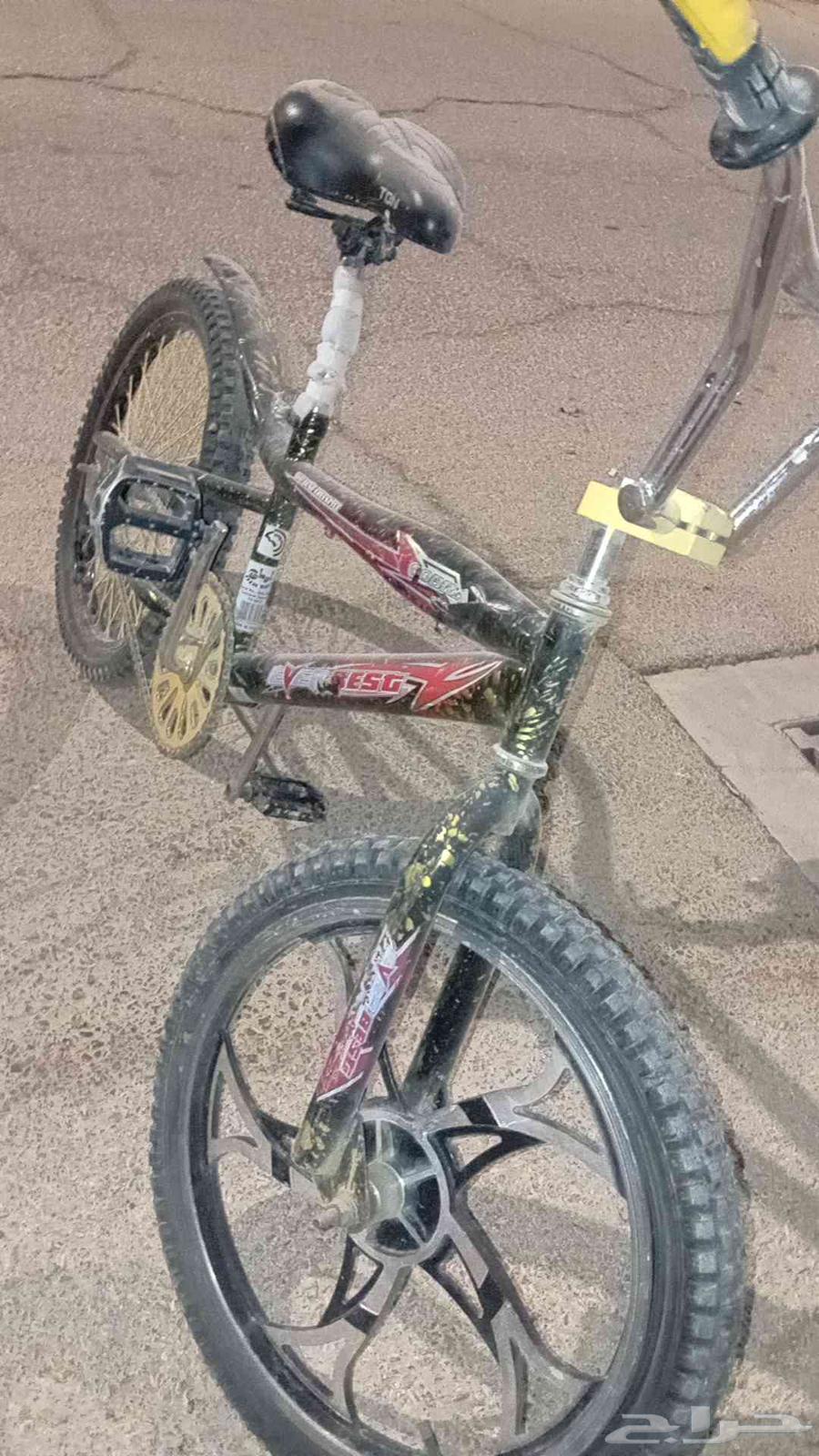 سكل كوبرا 2064508607323393110