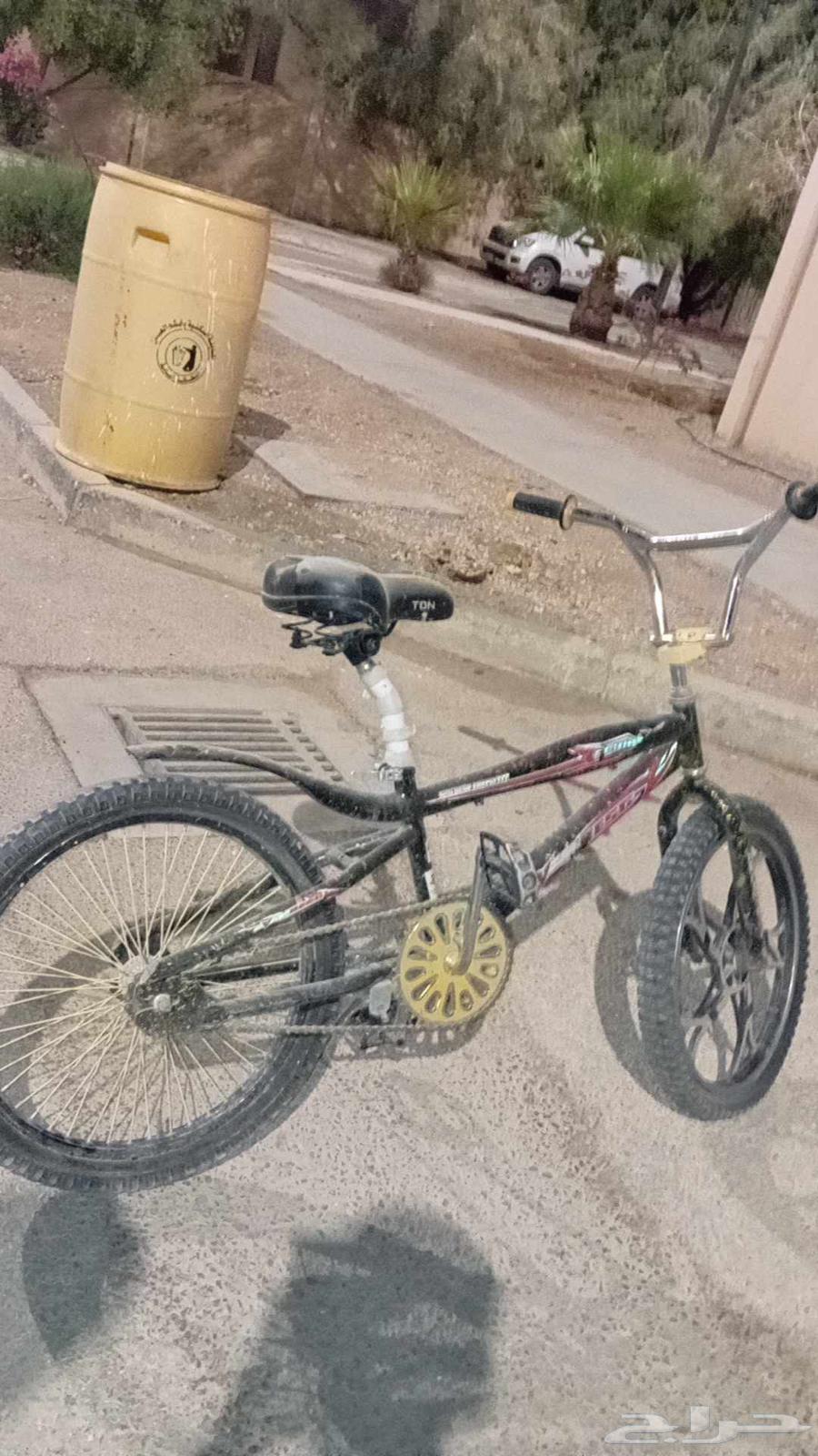 سكل كوبرا 2064508607323393113