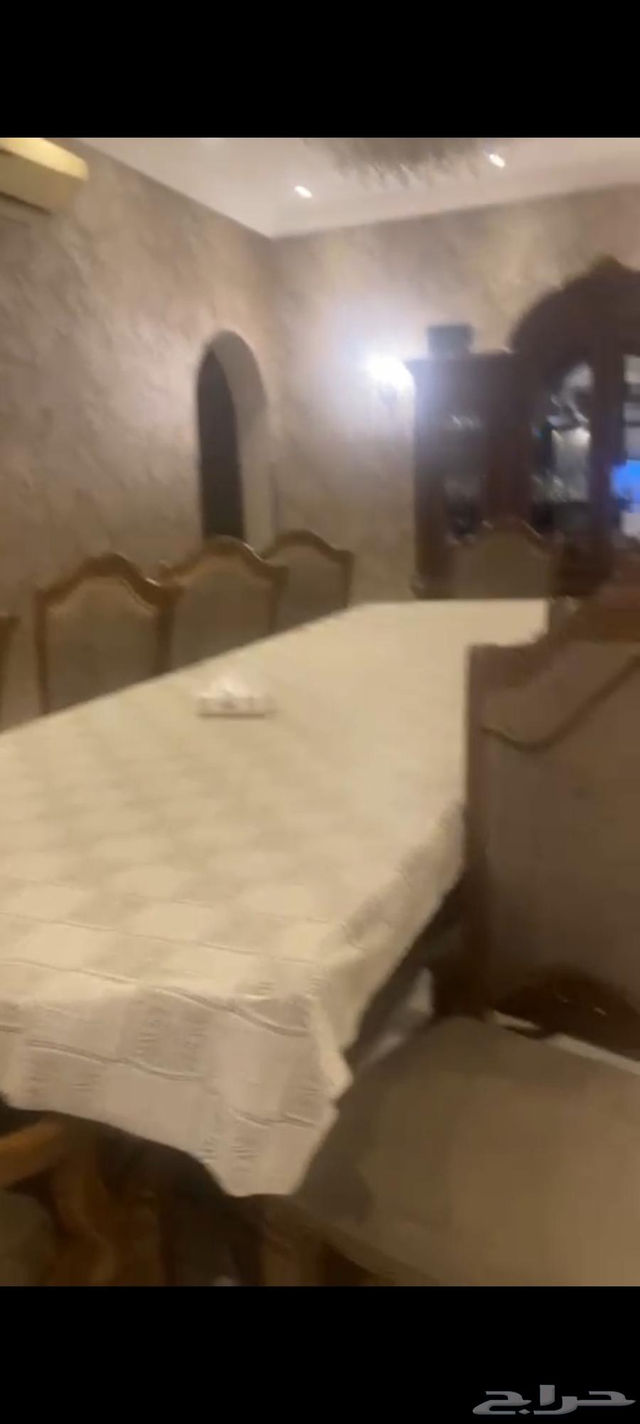 Tablecloth, bench, and entrance with 500 clean and very sturdy pieces64507724704386112